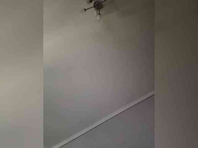 Rinaaamur webcam