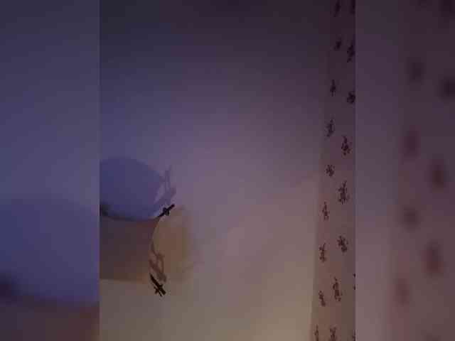 Rinaaamur webcam