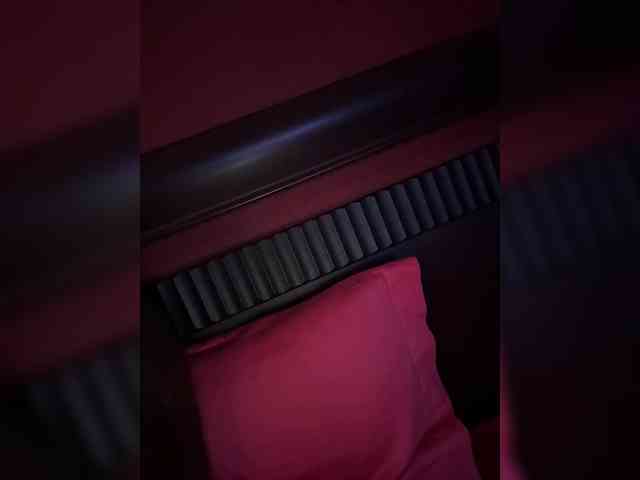 Rinaaamur webcam
