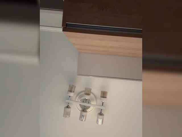 Rinaaamur webcam