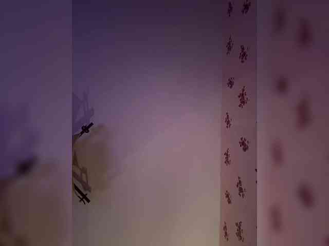 Rinaaamur webcam