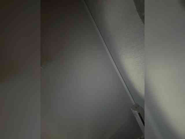 Rinaaamur webcam