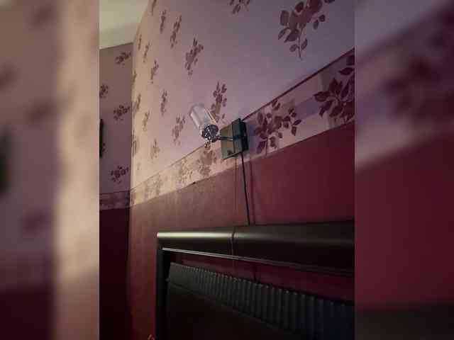 Rinaaamur webcam