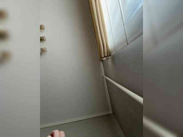 Rinaaamur webcam