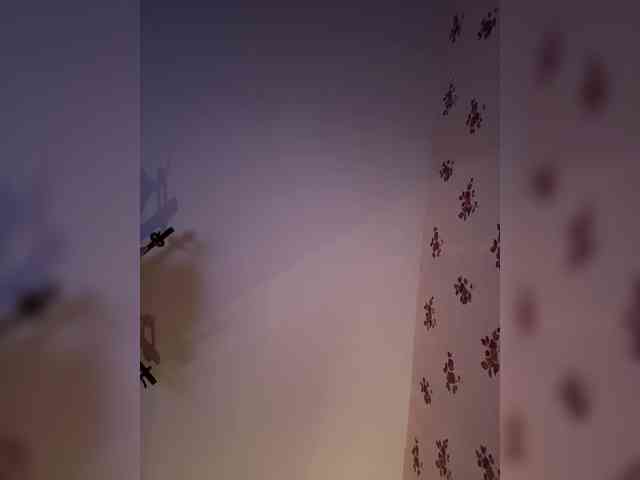 Rinaaamur webcam