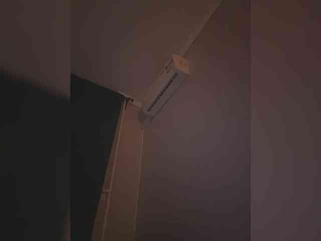Rinaaamur webcam
