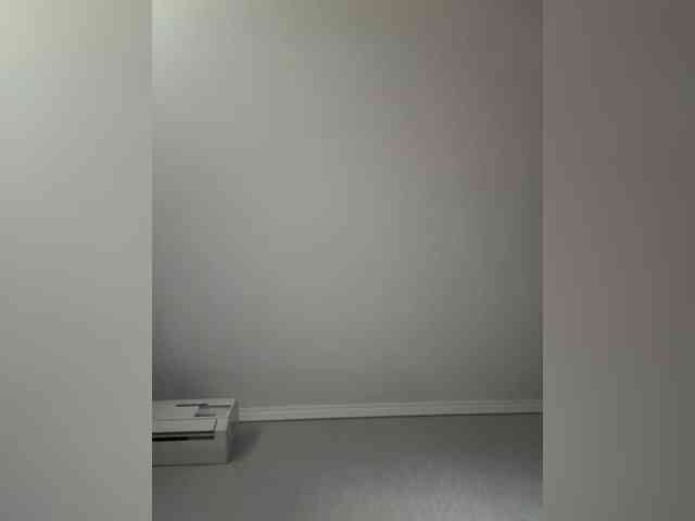 Rinaaamur webcam