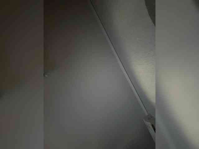 Rinaaamur webcam
