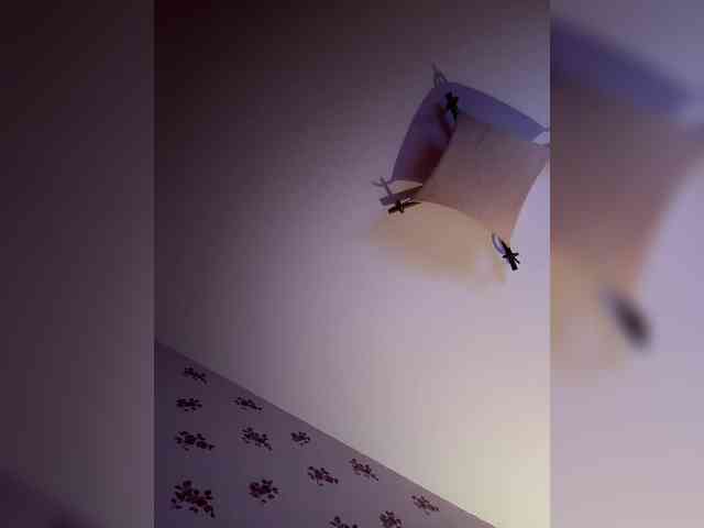 Rinaaamur webcam