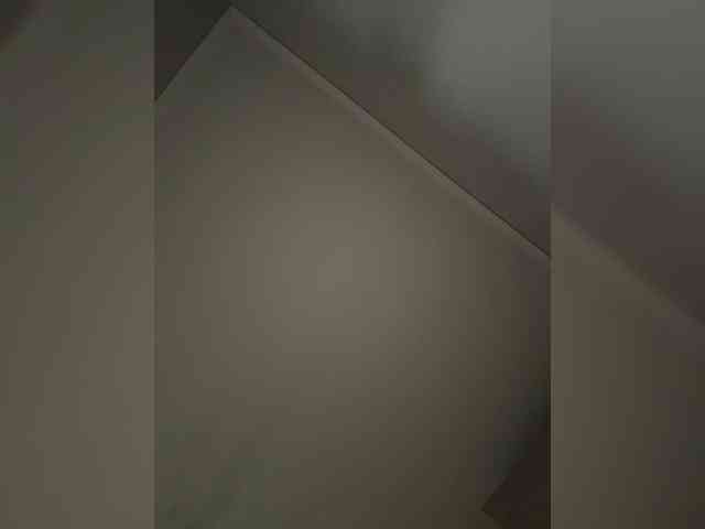 Rinaaamur webcam