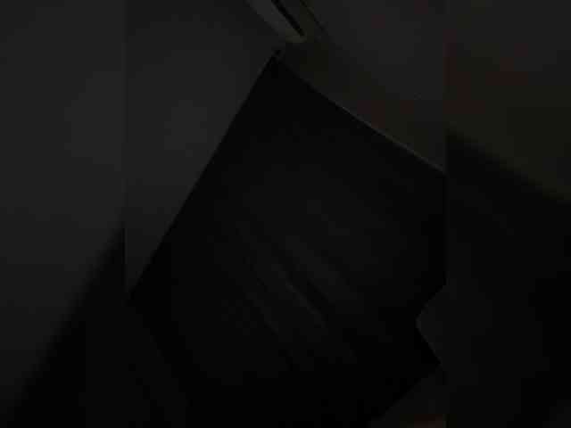 Rinaaamur webcam