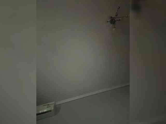 Rinaaamur webcam