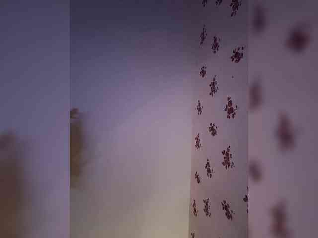 Rinaaamur webcam