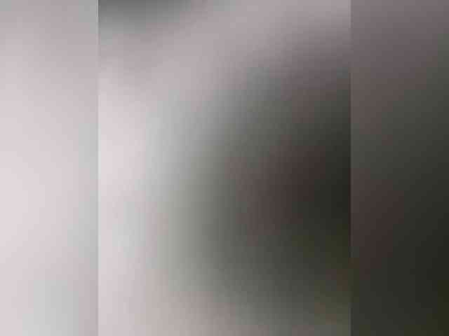 Rinaaamur webcam