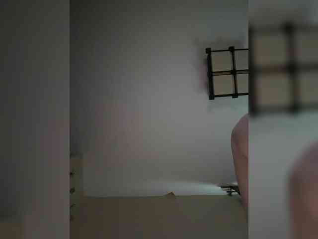 Rinaaamur webcam