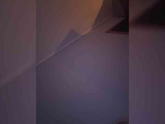 Rinaaamur webcam