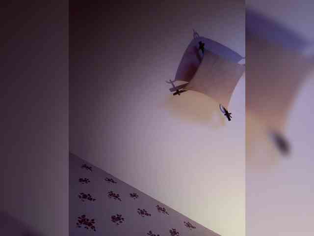 Rinaaamur webcam