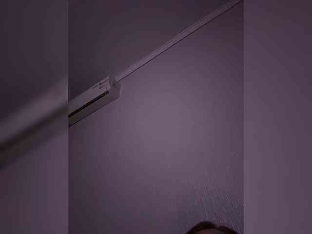 Rinaaamur webcam