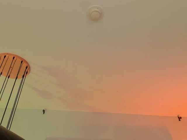 AngelicaVega's BongaCams show and profile