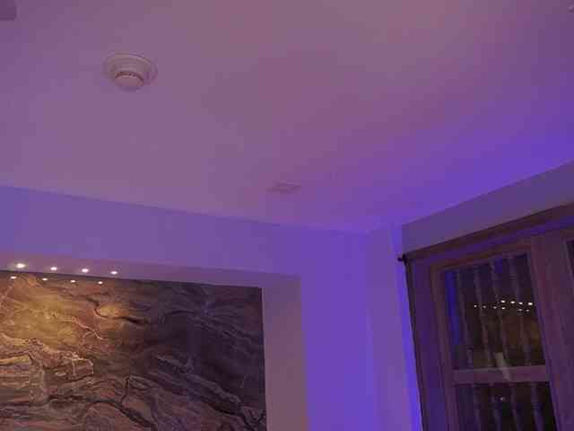 AngelicaVega AngelicaVega