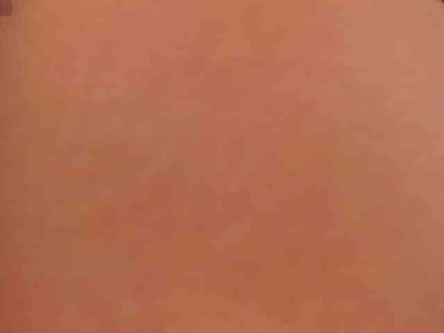 AngelicaVega webcam