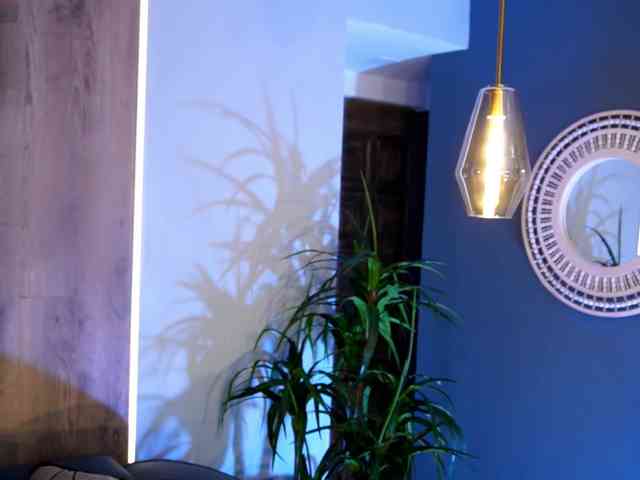 AngelicaVega AngelicaVega