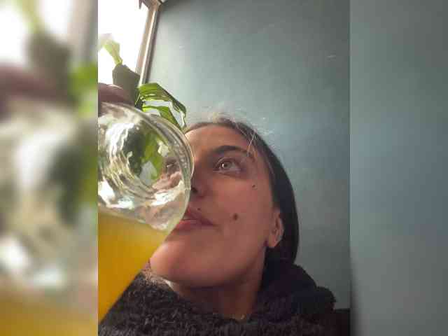 Модель: mariecam420