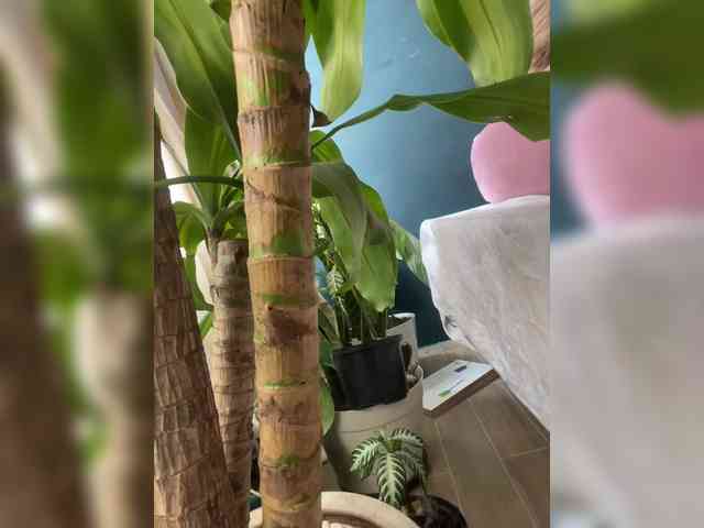 mariecam420 webcam