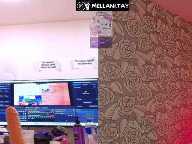 Mellani-tay webcam
