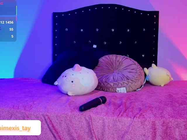 quimexis-tay webcam