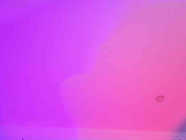 quimexis-tay webcam