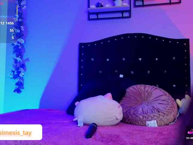 quimexis-tay webcam