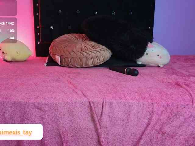 quimexis-tay webcam