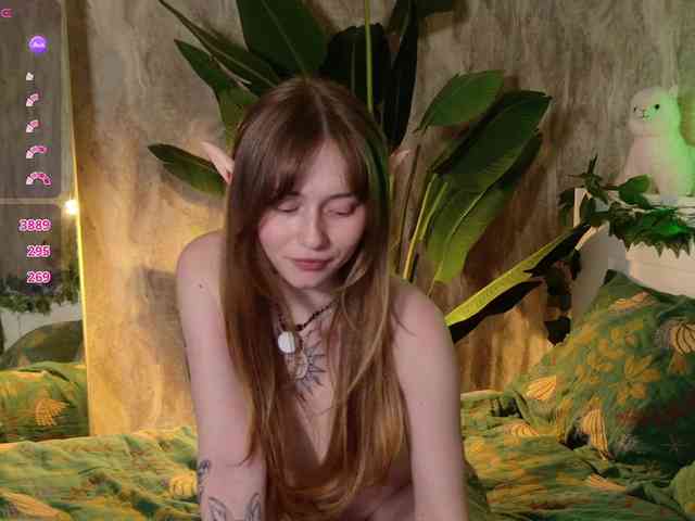 YoPixie webcam