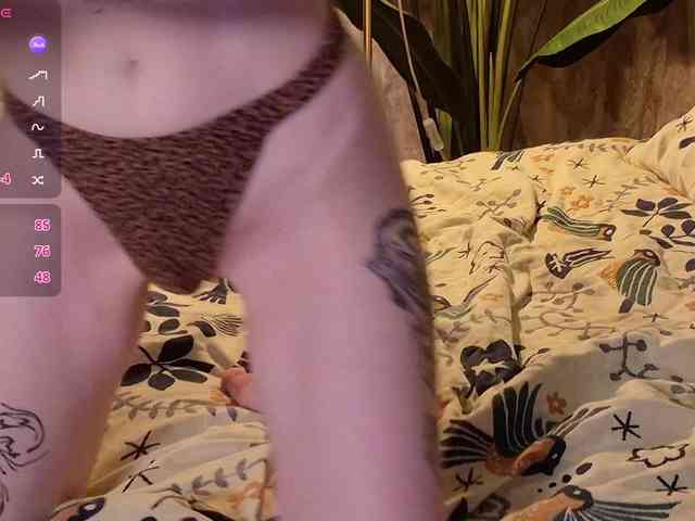 YoPixie webcam