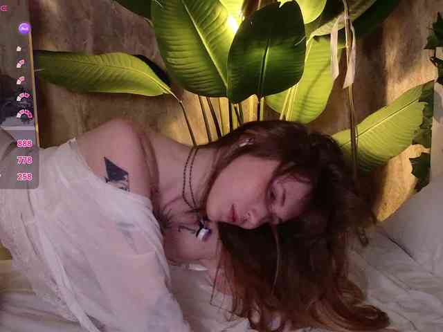 YoPixie webcam