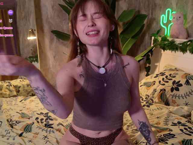 YoPixie webcam