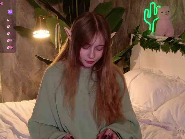 YoPixie webcam