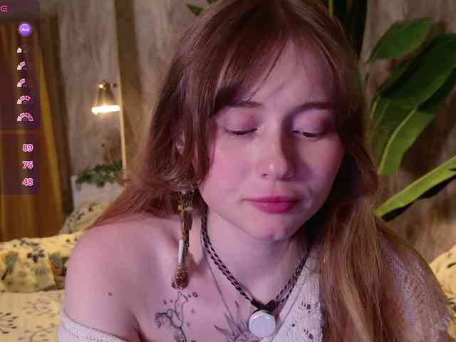YoPixie webcam