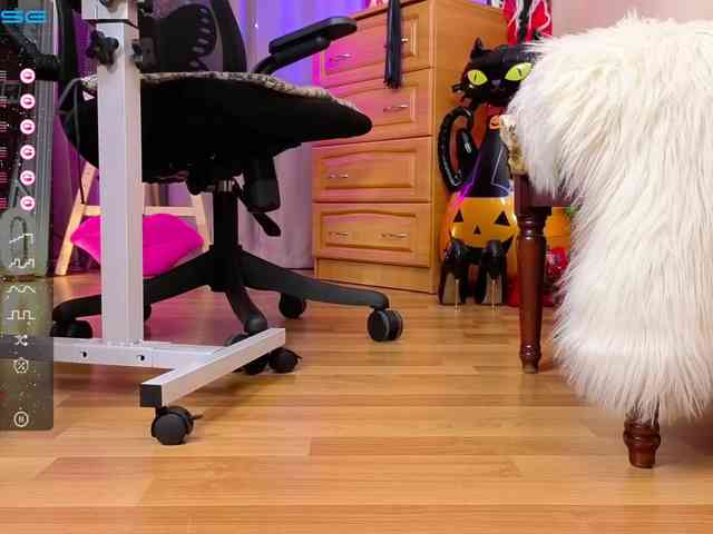 your-amazon4rever-wild webcam