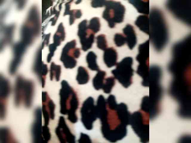 SweetKittyx22 webcam