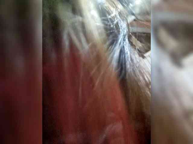 SweetKittyx22 webcam