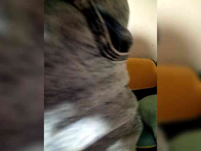 SweetKittyx22 webcam