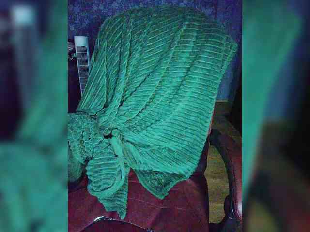 Ali_na webcam