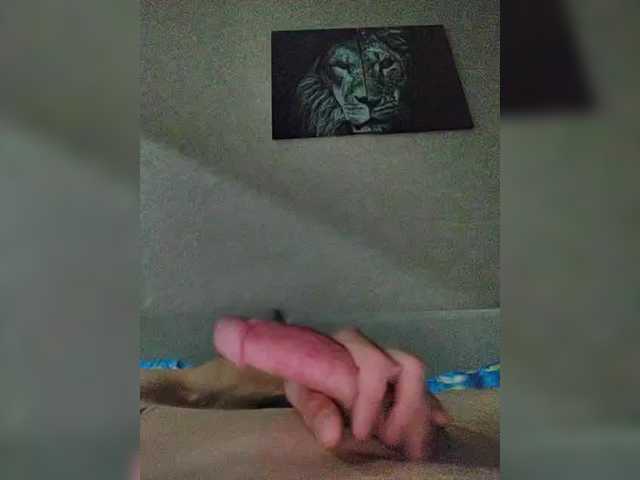 malysh8778