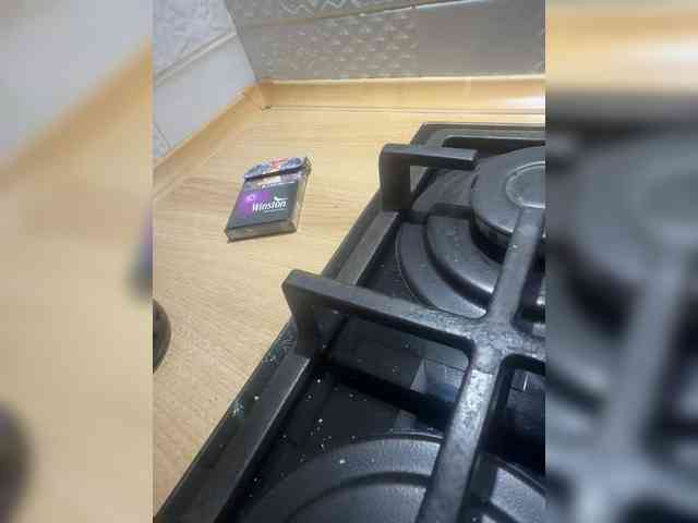 Pishnie160805 webcam