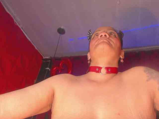 taylorhardcor taylorhardcor