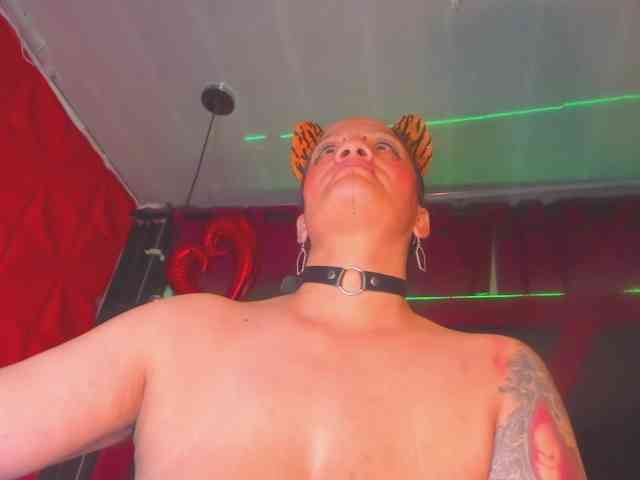 taylorhardcor webcam