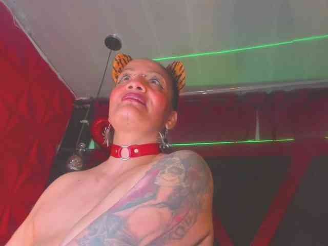 taylorhardcor webcam