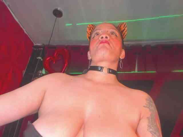 taylorhardcor webcam
